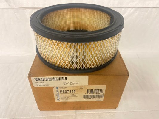 Primary Air Filter (P607255)